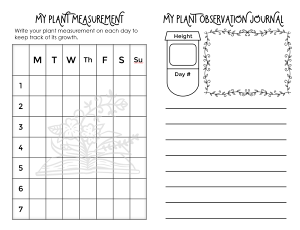 Plant Growth Journal for Garden Club and Classrooms - Image 4